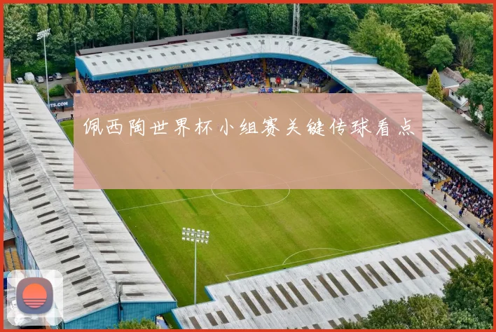 佩西陶世界杯小组赛关键传球看点