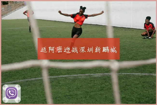 迈阿密迎战深圳新鹏城
