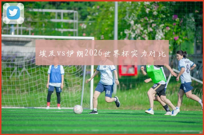 埃及vs伊朗2026世界杯实力对比