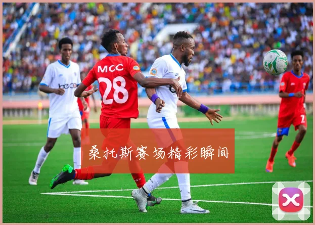 桑托斯赛场精彩瞬间