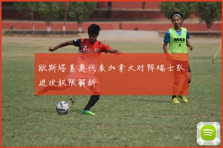 欧斯塔基奥代表加拿大对阵瑞士队进攻权限解析