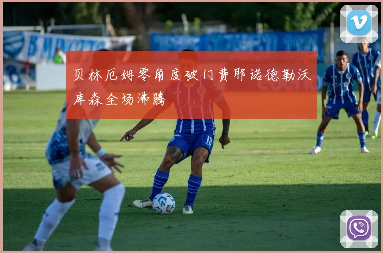贝林厄姆零角度破门费耶诺德勒沃库森全场沸腾