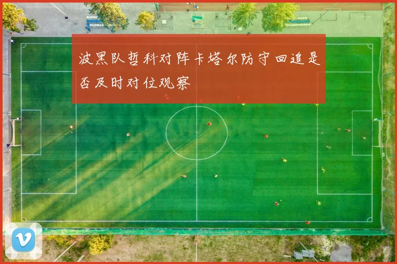 波黑队哲科对阵卡塔尔防守回追是否及时对位观察