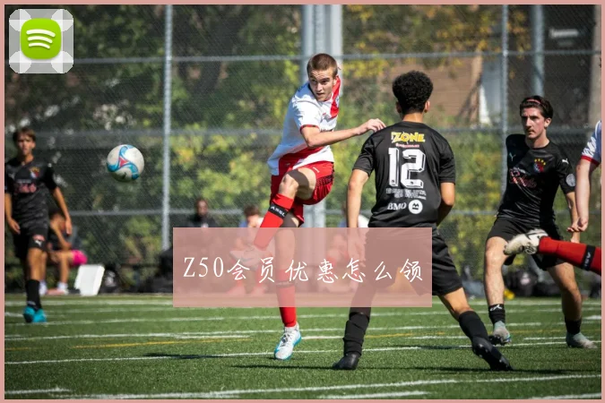Z50会员优惠怎么领