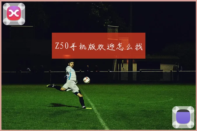 Z50手机版欢迎怎么找