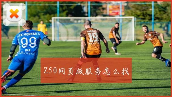 Z50网页版服务怎么找