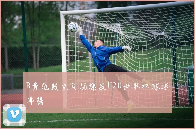 B费范戴克同场爆发U20世界杯球迷沸腾