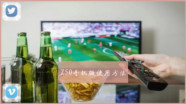 Z50手机版使用方法