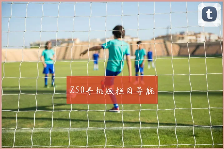 Z50手机版栏目导航